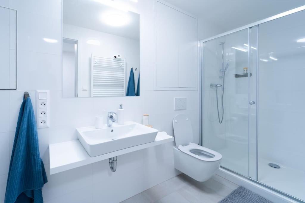 City Park Apartment - Brno Eksteriør bilde